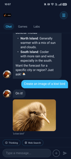 KiwiMate generating an image of a kiwi bird